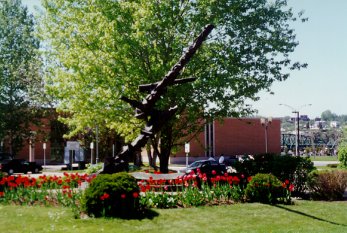 photo du monument