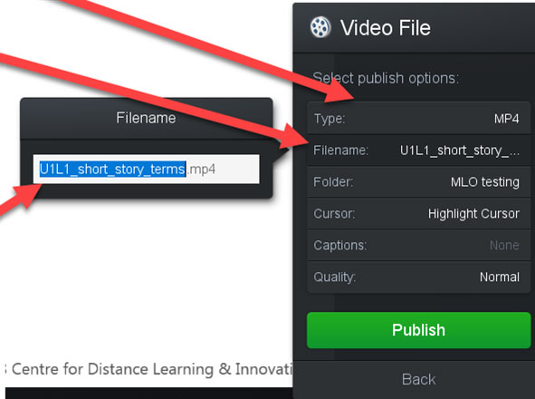 video file