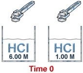 Concentrated versus dilute HCl with Zn