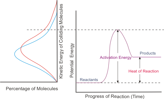 factors affecting reaction rates worksheet answers