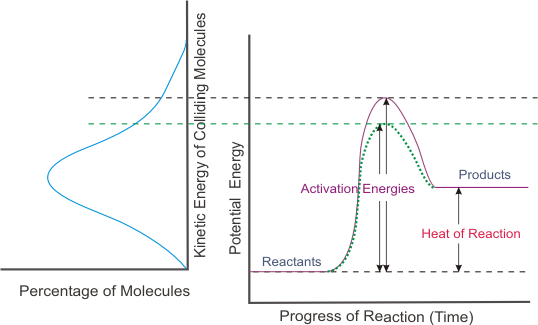 factors affecting reaction rates lab
